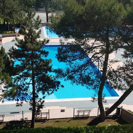 Homely Apartment With Shared Pools - Beahost Apartment *